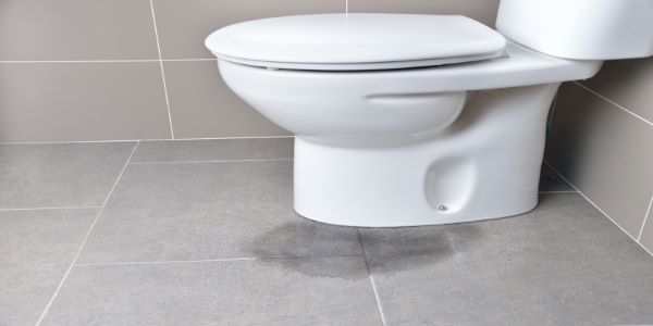 Toilet Leaking at the Base? This Could Be the Problem