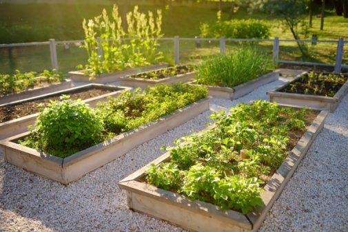 Sustainable Gardening and Landscaping